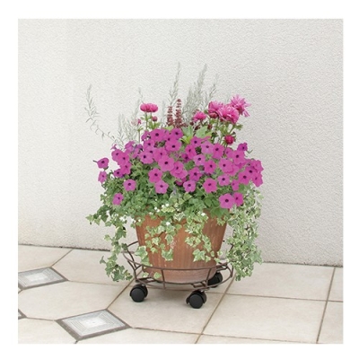 Conte Carry With Card