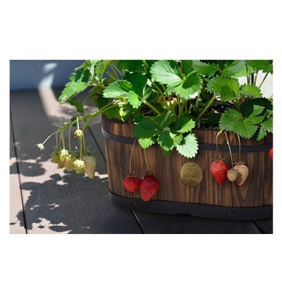Wood Barrel Planter Na (Rounded Trough)