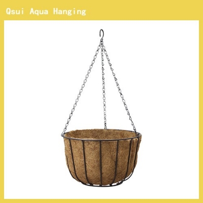 Qsui Aqua Hanging Basket