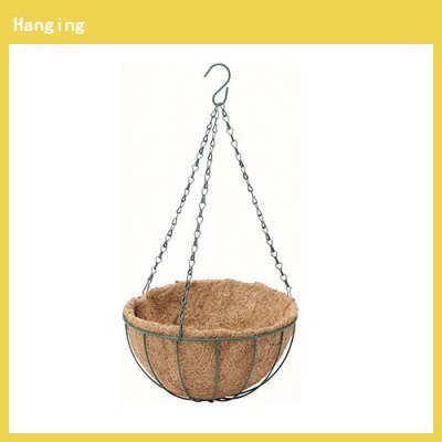 Hanging Basket