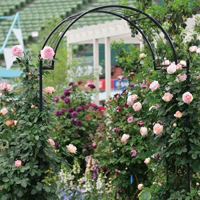 G-story Climbing arch rose castle