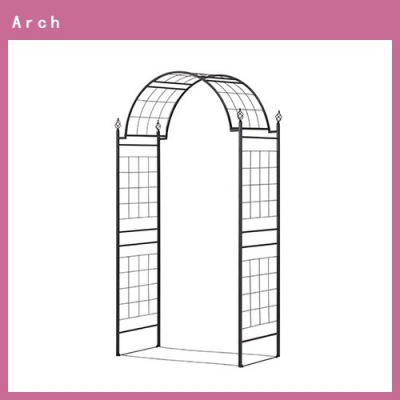 G-story Climbing arch rose castle