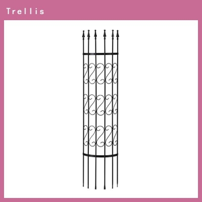 Round Trellis