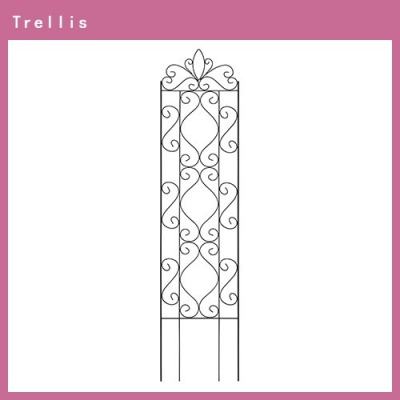 Design Trellis