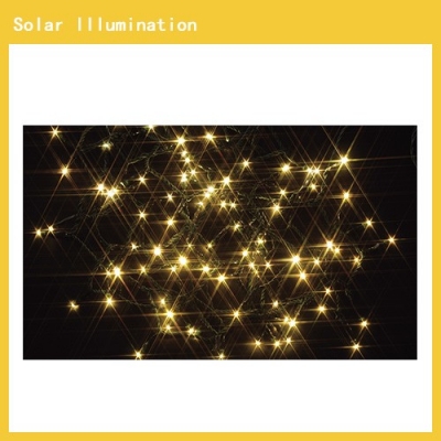 Solar Illumination Champagne Gold