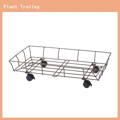 Plant Carry With Card