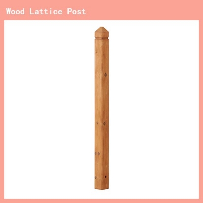 Lattice Post Natural